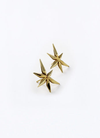 Gold Star Earrings